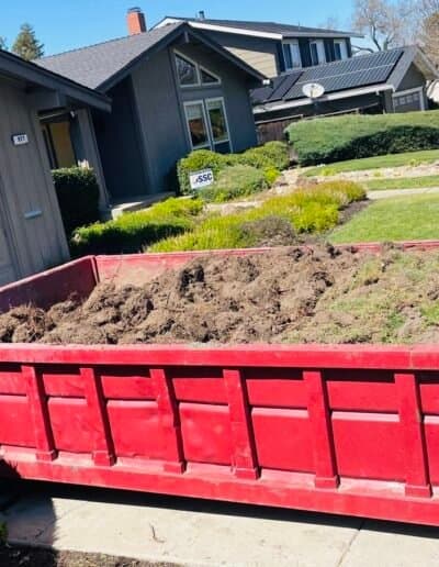 Yard Waste Disposal: Rules & Best Options